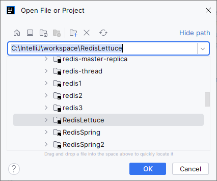 1. IntelliJ Project Open