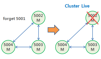 Redis Cluster cluster-require-full-coverage no forget