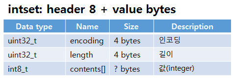 redis SET intset data structure