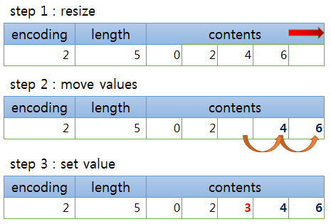 redis SET intset random